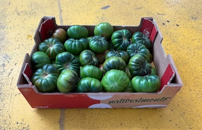 Foto Pomodoro Costoluto Origine Spagna Marchio Naturalmente	 1